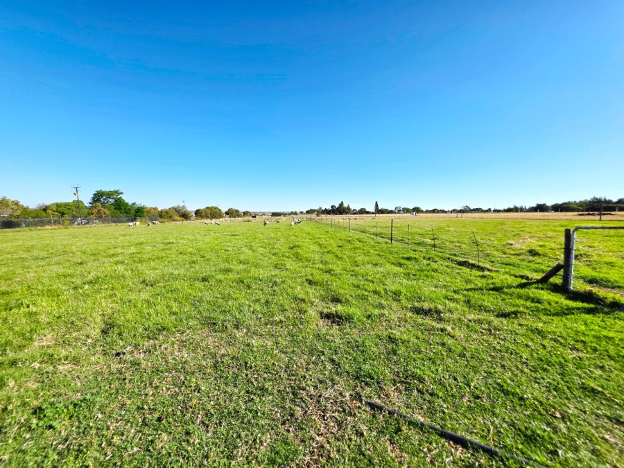 Commercial Property for Sale in Kellys View Free State